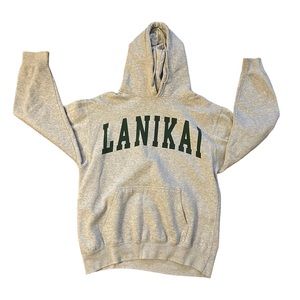 Brandy Melville Gray Hoodie with Green Print